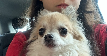 olivia pet sitter à PARIS 11 75011_4