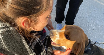 camille pet sitter à AIX EN PROVENCE 13100_2