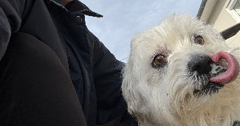 anaïs pet sitter à LOURDES 65100_1