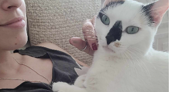 estelle cat sitter à AUDUN LE TICHE 57390_1