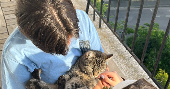 lune pet sitter à Montpellier 34000_1