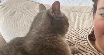 julie pet sitter à LYON 03 69003_1