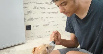 alexandre pet sitter à PACE 35740