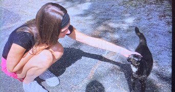 clarisse pet sitter à PERIGUEUX 24000_2