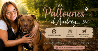 audrey pet sitter à GOLBEY 88190_2