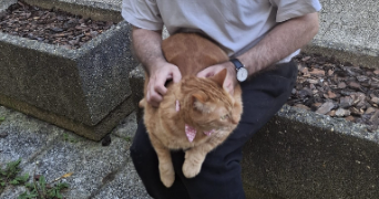 maxence pet sitter à LE PERREUX SUR MARNE 94170_1