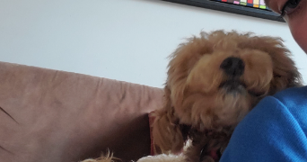 clémence pet sitter à BOIS GUILLAUME 76230_2
