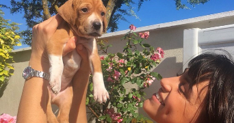 lea pet sitter à MONTPELLIER 34090_1