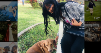 mirana pet sitter à PUISEUX EN FRANCE 95380_0