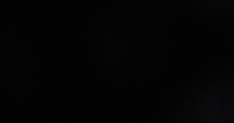 focus pet sitter à BORDEAUX 33000_0