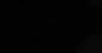 focus pet sitter à BORDEAUX 33000