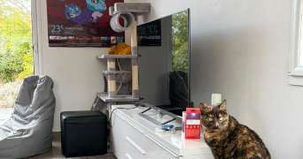 mathilde pet sitter à CARQUEFOU 44470_3