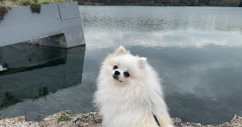 marjorie pet sitter à CALUIRE ET CUIRE 69300_6