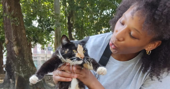 tracy pet sitter à Marseille 13001_0