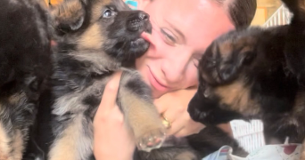 julia pet sitter à LES HOUCHES 74310_1