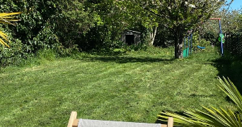 julie pet sitter à COUBERT 77170_0