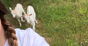 pauline pet sitter à CURZAY SUR VONNE 86600_5