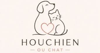 mado pet sitter à HOUCHIN 62620_0
