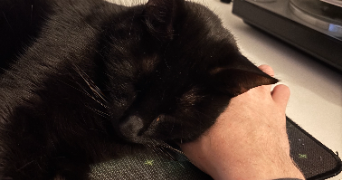baptiste pet sitter à PARIS 13 75013_2