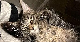 garance pet sitter à LANCON PROVENCE 13680