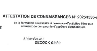 gisele dog sitter à GENTE 16130_3