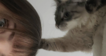 mailine pet sitter à ANGERS 49000_2