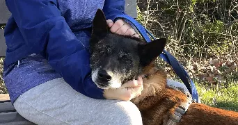 elise pet sitter à MALISSARD 26120