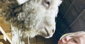 héline pet sitter à verneuil sur vienne 87430_5