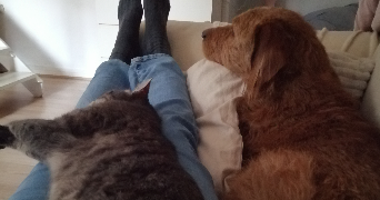 marion pet sitter à LE HAVRE 76620_9