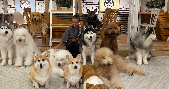 maellys pet sitter à ST MALO 35400_1