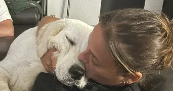 jade pet sitter à EZANVILLE 95460