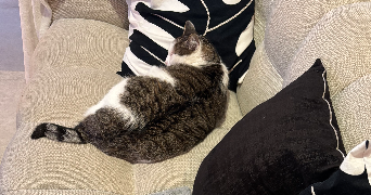 camille pet sitter à BONDY 93140_6