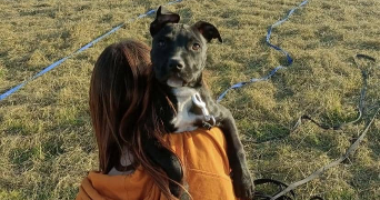 elodie pet sitter à BONNEVAL 28800_6