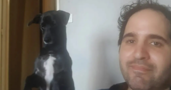 jérémy pet sitter à PUTEAUX 92800_0