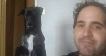 jérémy pet sitter à PUTEAUX 92800