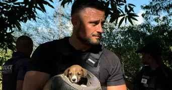 kevin  pet sitter à ST HERBLAIN 44800