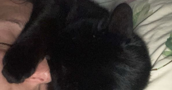 stephanie pet sitter à MARSEILLE 04 13004_6