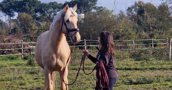 mélanie pet sitter à MERIGNAC 33700_4