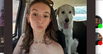 clara pet sitter à ALLAUCH 13190