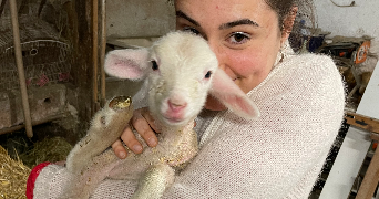 sofia pet sitter à TOULOUSE 31100_1