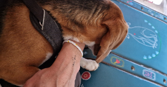marion pet sitter à CHARBONNIERES LES BAINS 69260_3