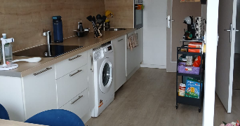 leila cat sitter à ARGENTEUIL 95100_3