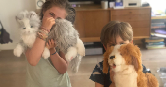 franck pet sitter à PARIS 06 75006_0