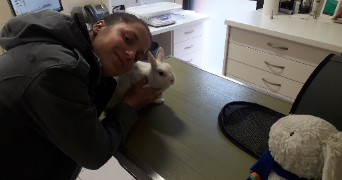 mégane pet sitter à LA FERTE ST CYR 41220_2