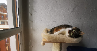 hélène pet sitter à COURCHEVEL 73120_3