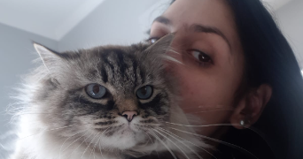 rosamaria pet sitter à TOULOUSE 31500_7