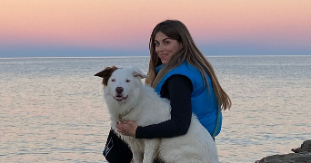 recoche pet sitter à VILLENEUVE LES MAGUELONE 34750_0