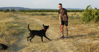 kevin pet sitter à LA GRANDE MOTTE 34280_1