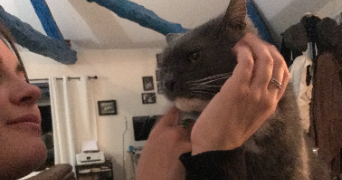 marie pet sitter à TOULOUSE 31500_1
