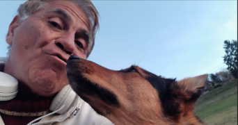 pascal dog sitter à BOGEVE 74250_17